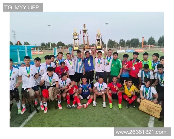 哈密足球明星阵容全解析及其职业生涯亮点详解