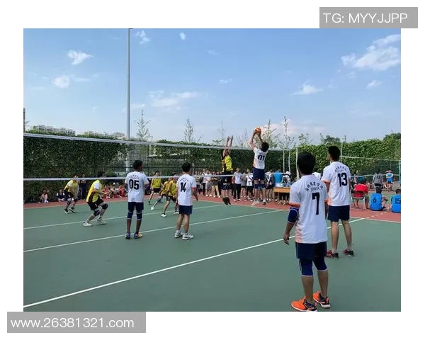 重庆排球队再创佳绩排球耐力排名跃升至新高峰